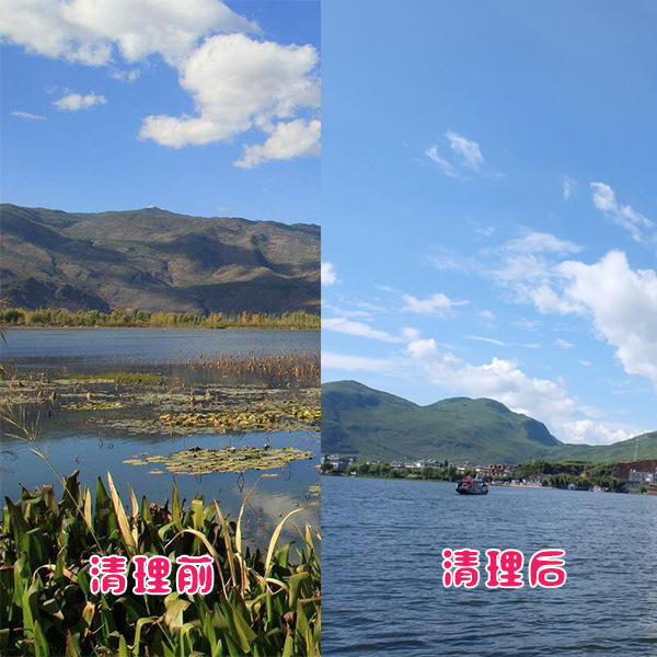 洱?？蛻艉此萸謇硇Ч故? title=